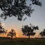 Camping Charming Avondgloed In Farmer's Orchard Hem