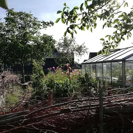 Kamp alanı Cute Little Caravan For 2 In Old Orchard *