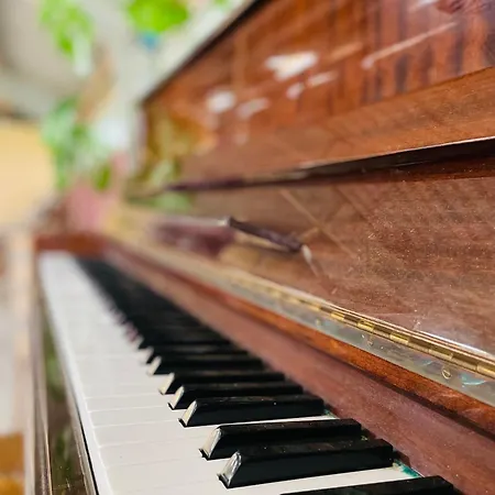 Kamp alanı Cute Little Caravan For 2 In Old Orchard Hem