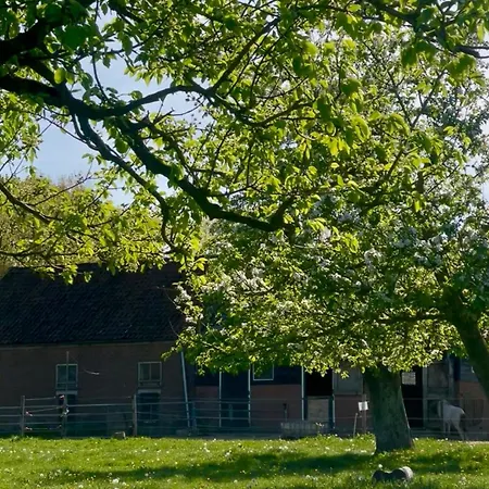 Charming Avondgloed In Farmer's Orchard Кемпинг
