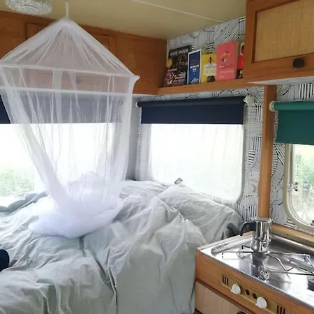Cute Little Caravan For 2 In Old Orchard 营地 Hem