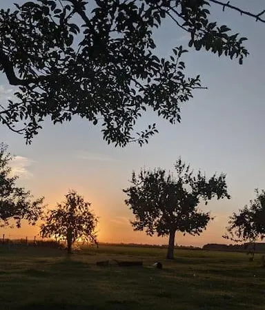 Kemping Cute Little Caravan For 2 In Old Orchard Hem