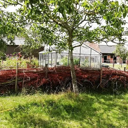 Cute Little Caravan For 2 In Old Orchard Kemping