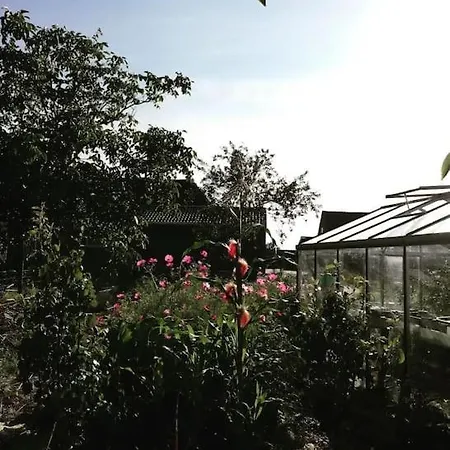 Charming Avondgloed In Farmer's Orchard