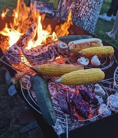 Cute Little Caravan For 2 In Old Orchard