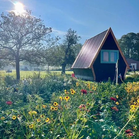 Charming Avondgloed In Farmer's Orchard キャンプ場 *